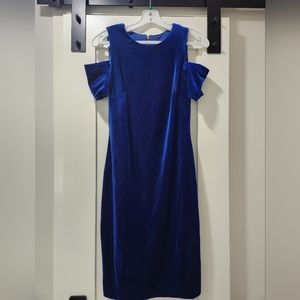 Calvin Klein Blue Velvet Dress